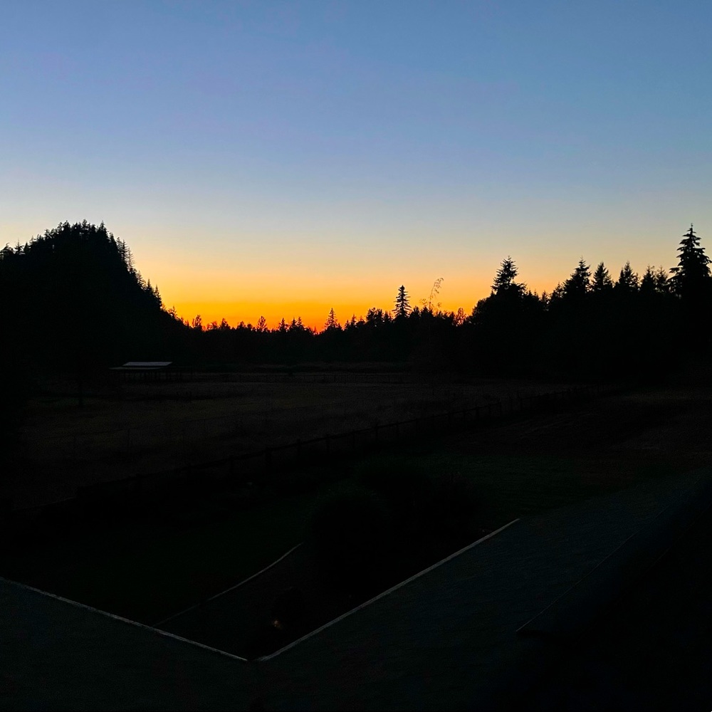 Meet your Posher, Attac